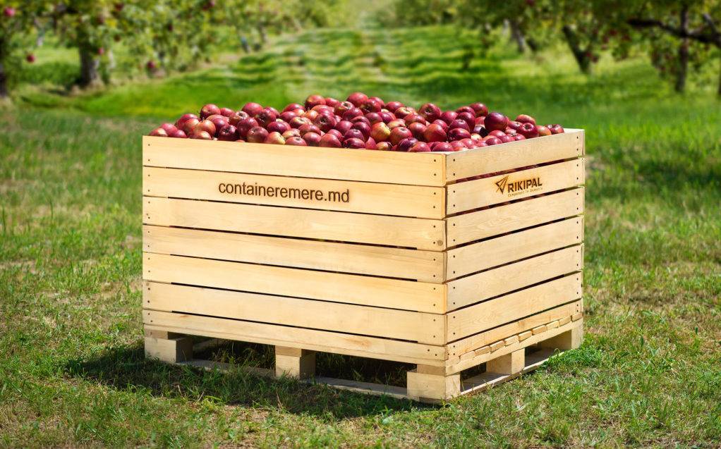 containere din lemn pentru mere rikipal e1629101976303